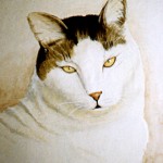 White Cat with Tabby Bonnet